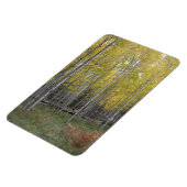 Magnet Flexible Lueur jaune de l'Aspen (Côté Gauche)