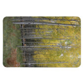 Magnet Flexible Lueur jaune de l'Aspen (Horizontal)