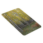 Magnet Flexible Lueur jaune de l'Aspen (Côté Droit)
