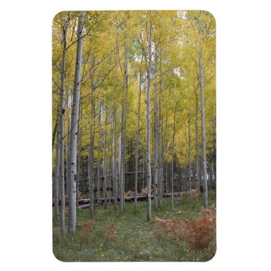 Magnet Flexible Lueur jaune de l'Aspen (Vertical)