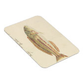 Magnet Flexible Luigi Balugani - Mullup (Côté Droit)