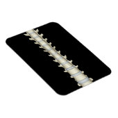 Magnet Flexible Lumbar et Vertebrae Thoracique (Côté Droit)