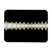 Magnet Flexible Lumbar et Vertebrae Thoracique (Horizontal)