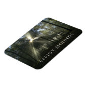 Magnet Flexible Lumière du matin à travers les arbres, les monticu (Côté Gauche)