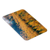 Magnet Flexible Lumière du matin sur la plage | Île Tybee (Côté Droit)