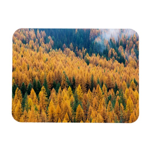 Magnet Flexible Lumière du matin sur la plage | Île Tybee (Horizontal)