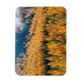 Magnet Flexible Lumière du matin sur la plage | Île Tybee (Vertical)