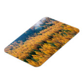 Magnet Flexible Lumière du matin sur la plage | Île Tybee (Côté Gauche)