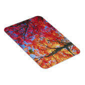 Magnet Flexible Lumineuse rouge, orange et jaune Parcours d'automn (Côté Droit)