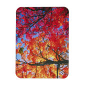 Magnet Flexible Lumineuse rouge, orange et jaune Parcours d'automn (Vertical)