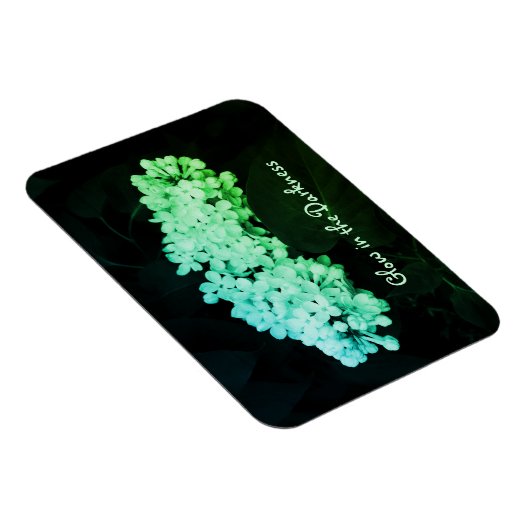 Magnet Flexible Luminosité dans l'obscurité Lilacs vert Altered Ph (Côté Droit)