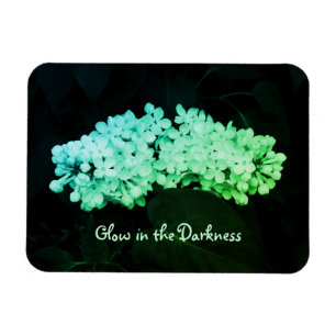 Magnet Flexible Luminosité dans l'obscurité Lilacs vert Altered Ph