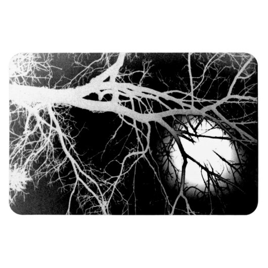 Magnet Flexible Lune (Horizontal)