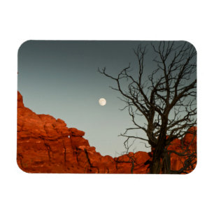 Magnet Flexible Lune mauvaise