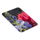 Magnet Flexible Lupine argentée, Pinceau de lavande (Côté Droit)