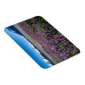 Magnet Flexible Lupines en fleur | Kenai Mountains, Alaska (Côté Droit)