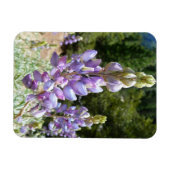 Magnet Flexible Lupins de montagne à Yosemite (Horizontal)