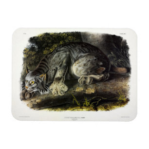 Magnet Flexible Lynx du Canada (Lynx Canadensis) (Lynx du Canada)