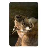 Magnet Flexible Lynx eurasien (Vertical)