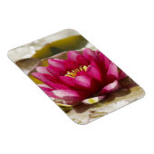 Magnet Flexible Lys d'eau (Côté Droit)