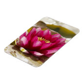 Magnet Flexible Lys d'eau (Côté Gauche)