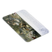 Magnet Flexible Lys d'eau et fées d'eau, illustration de (Côté Droit)