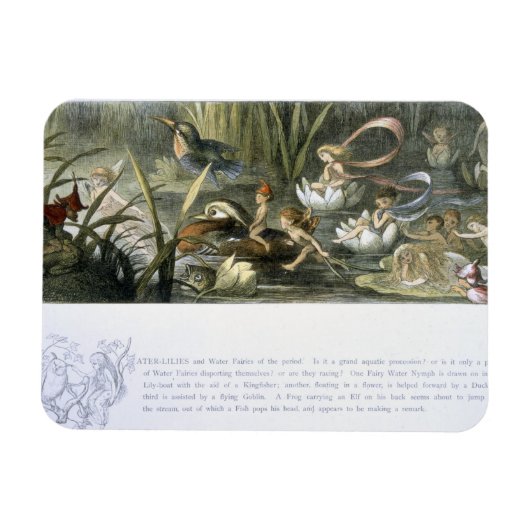 Magnet Flexible Lys d'eau et fées d'eau, illustration de (Horizontal)