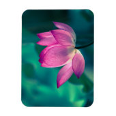 Magnet Flexible Lys d'eau Lotus (Vertical)