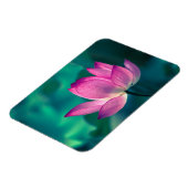 Magnet Flexible Lys d'eau Lotus (Côté Gauche)