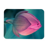 Magnet Flexible Lys d'eau Lotus (Horizontal)