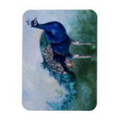 Magnet Flexible M. Peacock (Vertical)
