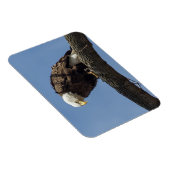 Magnet Flexible M. Sérieux (Côté Droit)