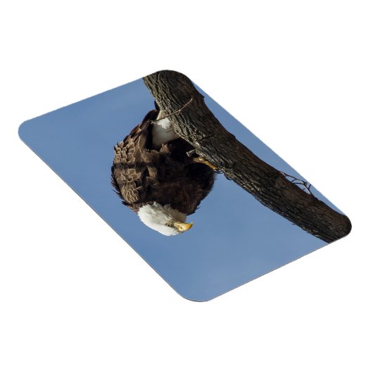 Magnet Flexible M. Sérieux (Côté Droit)