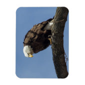 Magnet Flexible M. Sérieux (Vertical)