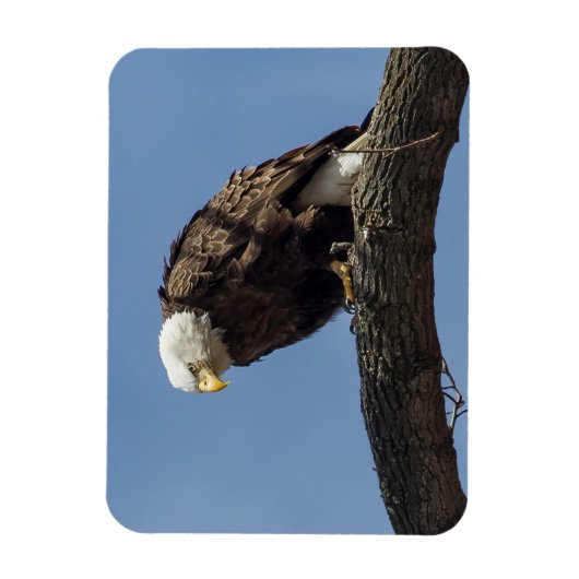 Magnet Flexible M. Sérieux (Vertical)