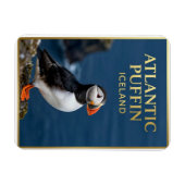 Magnet Flexible 🐧 Macareux moine Oiseau côtier d'Islande (Horizontal)