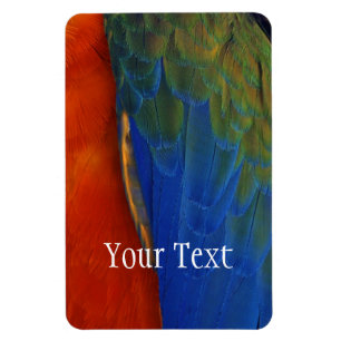 Magnet Flexible Macaw Feathers