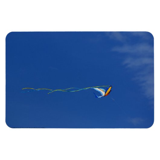 Magnet Flexible Macaw Kite (Horizontal)
