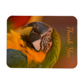 Magnet Flexible Macaw Parrot Merci (Horizontal)