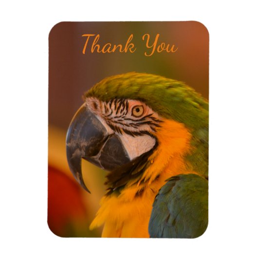 Magnet Flexible Macaw Parrot Merci (Vertical)