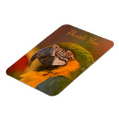Magnet Flexible Macaw Parrot Merci (Côté Gauche)