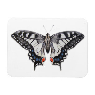 Magnet Flexible Machaon 2012