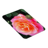 Magnet Flexible Macro Rose rose et orange (Côté Droit)