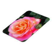 Magnet Flexible Macro Rose rose et orange (Côté Gauche)