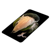 Magnet Flexible magie beakysnooter aimant (Côté Gauche)