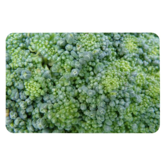 Magnet Flexible Magnat Broccoli Macro Premium (Horizontal)