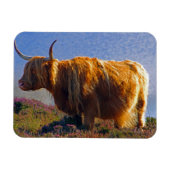 Magnet Flexible Magnat de vache Highland (Horizontal)