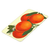 Magnet Flexible Magnat d'oranges d'art rétro (Côté Gauche)