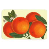 Magnet Flexible Magnat d'oranges d'art rétro (Horizontal)