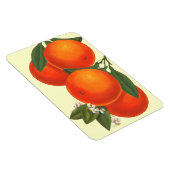 Magnet Flexible Magnat d'oranges d'art rétro (Côté Droit)